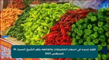 قفزة جديدة في أسعار الخضراوات والفاكهة بكفر الشيخ السبت 16 أغسطس 2025